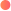 RiyumaLabs